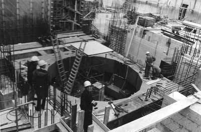 Borssele reactor