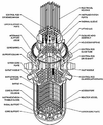 Cutaway View of Reactor Vessel