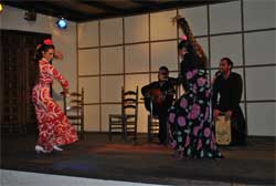 group of flamenco singers and dancers 