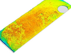 Optical profilometry of the surface of irradiated SS316 specimens