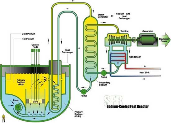 Circuits of a Sodium Fast Reactor