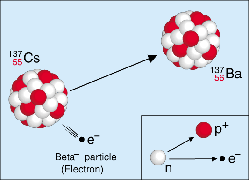 Beta-minus-decay