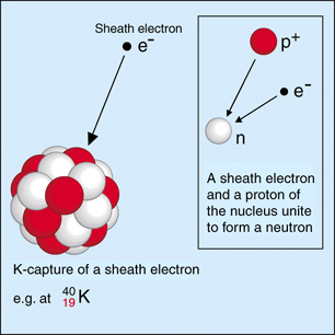 K-capture