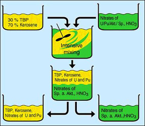 PUREX process